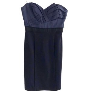 Gorgeous BCBGMazAzria Strapless Sheath Dress, sz4